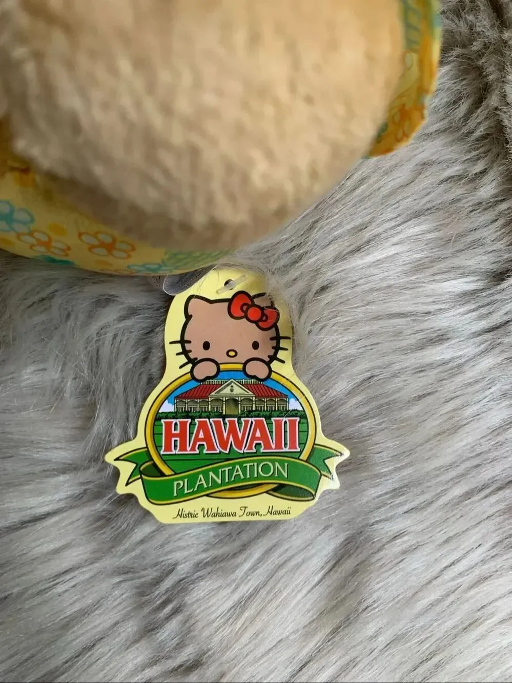 Hello Kitty nwt special
